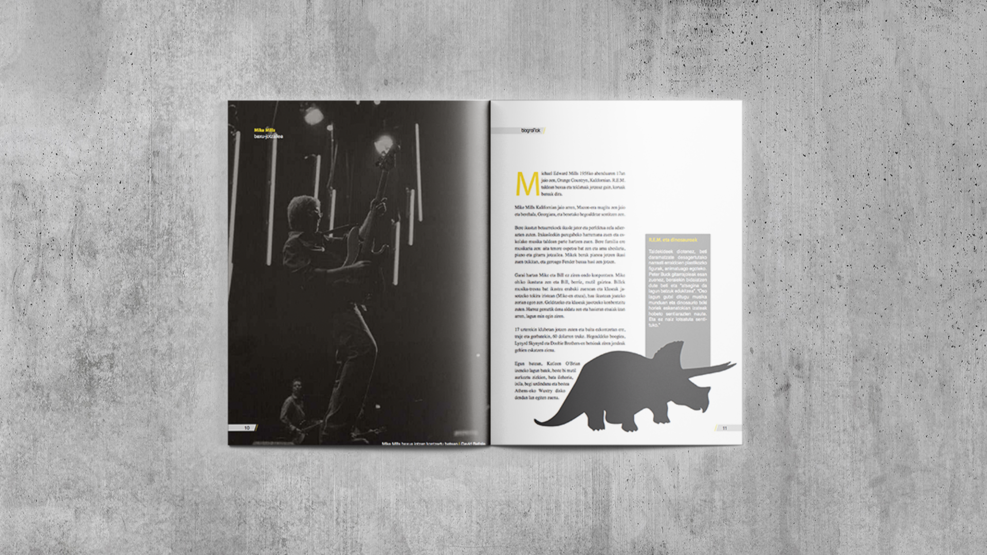 Liburuxka baten maketazioa