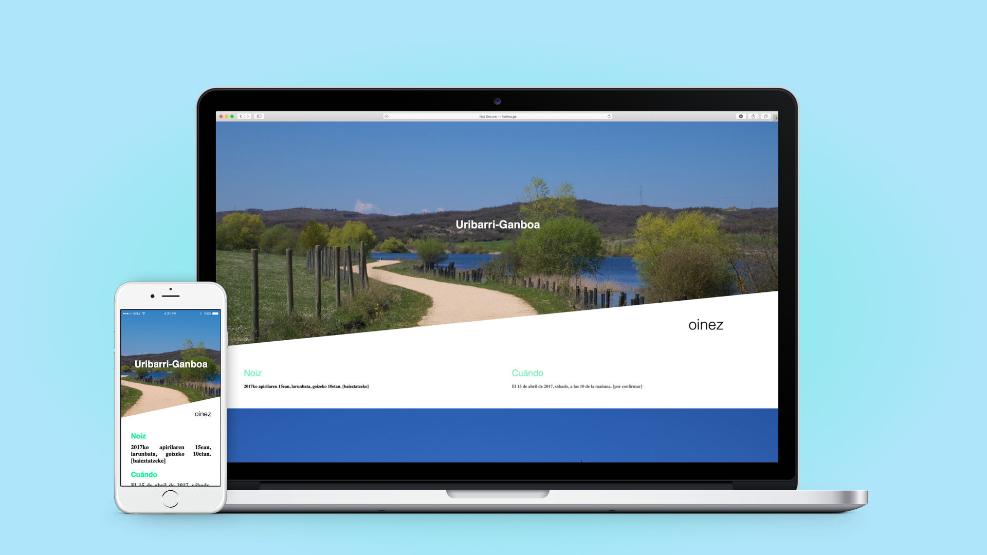 Webgune baten diseinua